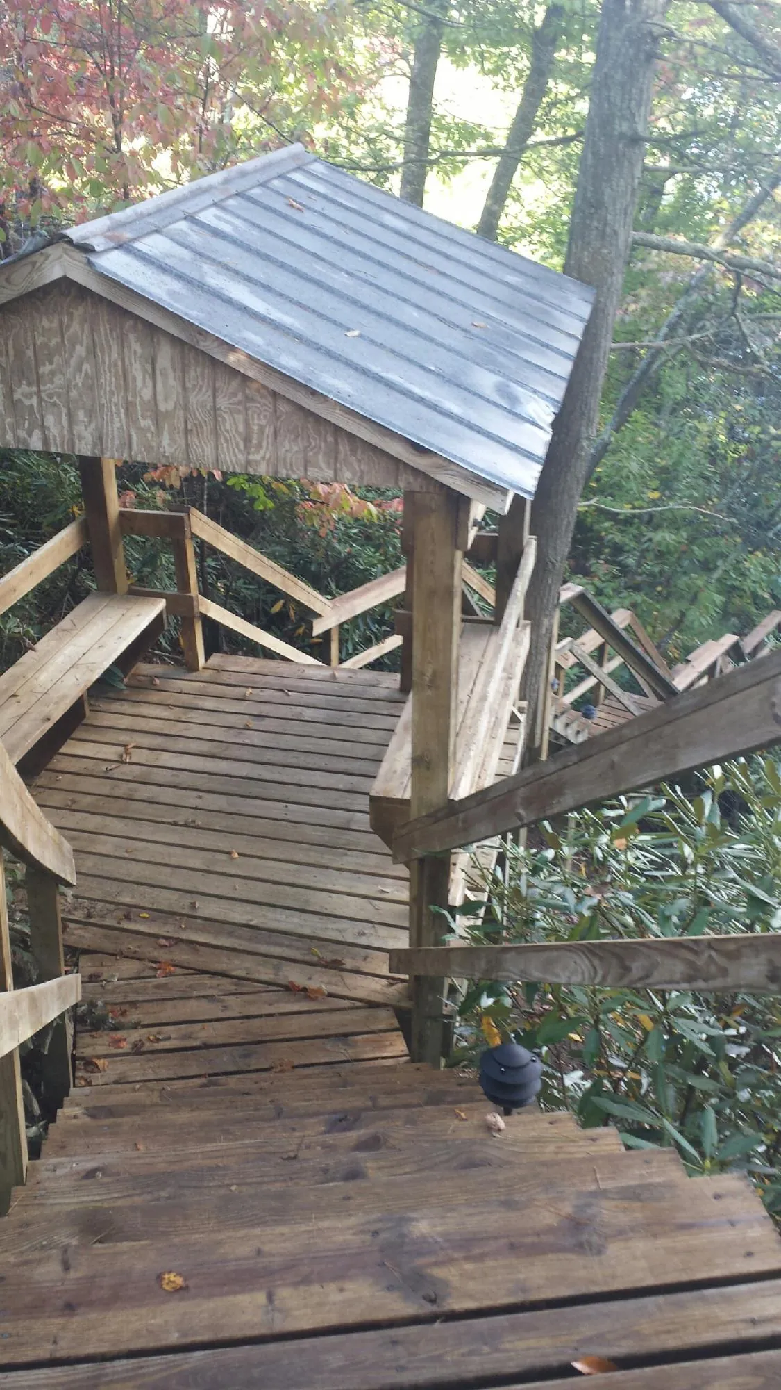 Metal roofed shelter over wooden steps on a wooded walkway — Skylight Repair & Installation work by our crew in Lacon